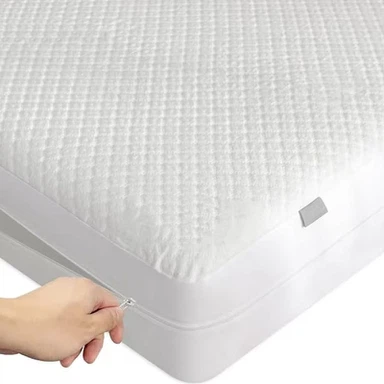 Bunuh Bedbugs Tilam Encasement
